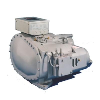 China Wassergekühlter Kühler-Eis-Betriebskompressor sparte Loiw-Geräusch-Korrosionsbeständigkeit zu verkaufen