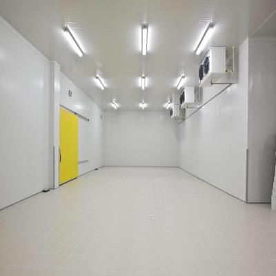 China Sala de armazenamento frio nova para o refrigerador de ar vegetal da sala fria do beaf da batata da carne à venda