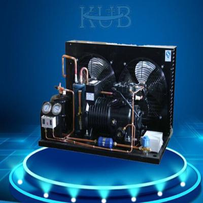 China de climatizador hermético de la bodega de la unidad de refrigeración de la cámara fría R22 en venta