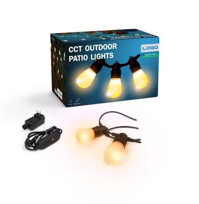 China wifi connection 48ft String Lights CCT Light Bulb Outdoor Patio Lights Led WiFi Connection 10m for sale