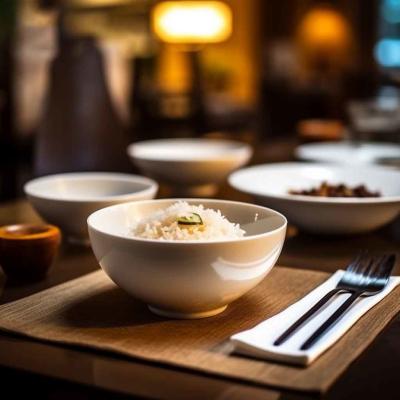 中国 カテリング 丸い 米碗 マイクロウェーブ 安全な ポルセラン スープ ボウル 販売のため
