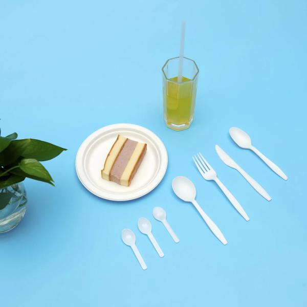 Quality Compostable Sustainable Eco Friendly Disposable Forks For Hotel Restaurant for sale