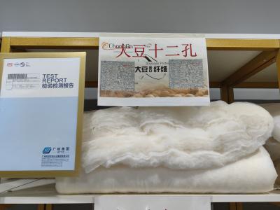 China Twelve Hole Soy Beans Fiber Cotton Aerogel Home Textile Polyester Fibre Protein Fibre for sale