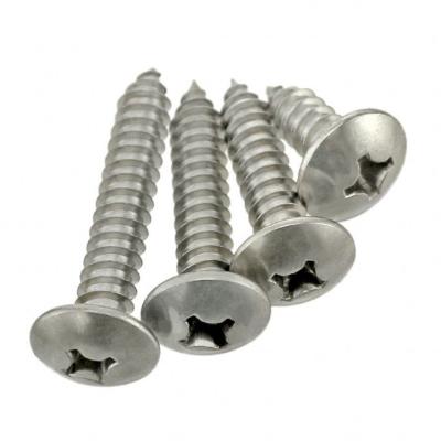 China M4*14mm Phillips Truss Head Self Tapping Sheet Metal Screw 304 Stainless for sale