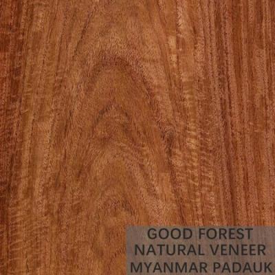 China Especialmente textura irregular natural do folheado de madeira vermelho de Myanmar Bubinga à venda