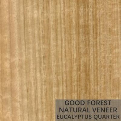 China La madera natural del eucalipto chapea la madera contrachapada vertical popular de la chapa del grano en venta
