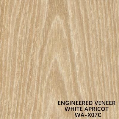 China Natural Apricot X07C Crown Cut Man Made Wood Veneer For Face Veneer Of Door / Cabinet for sale