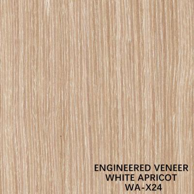 China Reconstituted Decorative Engineered Apricot Wood Veneer X24 White Apricot Vertical Grain Popular Used For Cabinet Face for sale