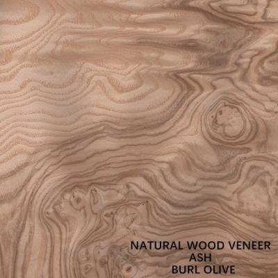China Unusual Natural White Ash Wood Veneer Burl Olive AA Grade For Wall Covering Thickness 0.5mm China Manufacturer for sale