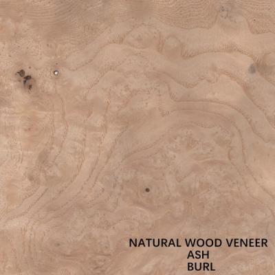 Китай Hotel Natural White Ash Veneer Wood Burl Grain Thickness 0.55mm Good Price For For Hotel Decoration China Wholesale продается