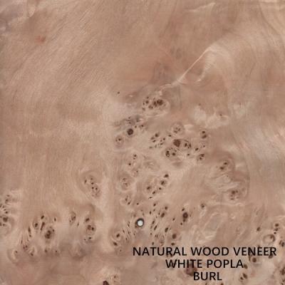 China Europe Natural Poplar Wood Veneer Mapa Burl Grain High Quality Thickness 0.5mm For Musical Instrument en venta