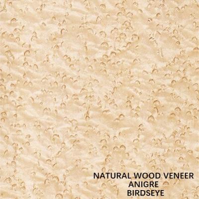 China American Natural Maple Wood Veneer Birdseye Maple Thickness 0.5mm Good Quality For Furniture And Musical Instrument en venta