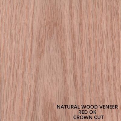 China Crown Cut Grain Aaa Grade 0.5mm Red Oak Wood Veneer For Furniture Face And Door à venda