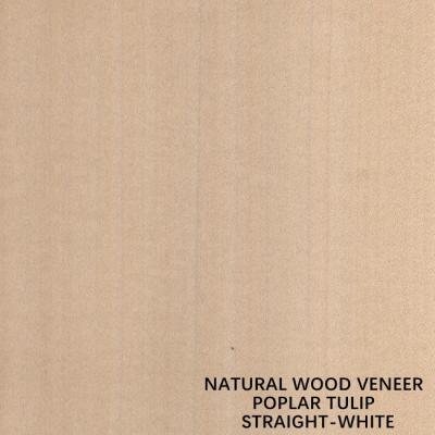 China Straight White Color American Natural Poplar Wood Veneer For Fancy Plywood / Door for sale