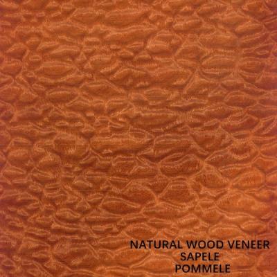 中国 Africa Natural Sapele Wood Veneer Exotic Grain Pommele For Pianos And Furniture Faces 販売のため