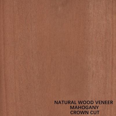 China Furniture And Music Instruments Natural Mahogany Wood Veneer Flat Cut Crown Cut for sale