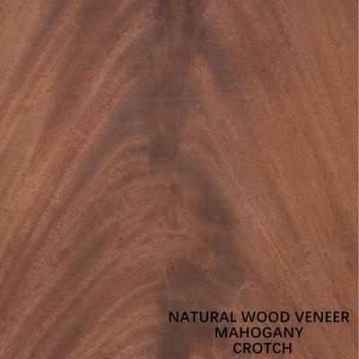 China Fleeced Back Natural Mahogany Wood Veneer 0.5mm Special Crotch For Hotel Decoration for sale