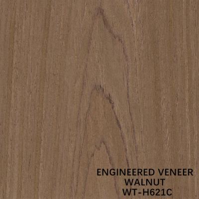 China EV Walnut Wood Veneer H621C Natural Walnut Crown Grain 2500mm 2800mm for sale