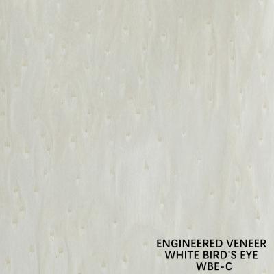China Irregular Texture Wood Veneer Burl And Root White Bird Eye 2500-3100 Mm Indoor for sale