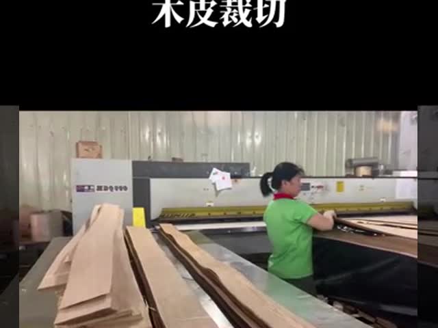 Video of the production process