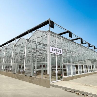 China Multi Span Hyroponic Galvanized Float Venlo Greenhouse Glass Agricultural Kits for sale