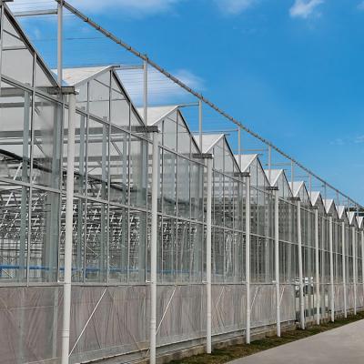 China Agricultural Multi Span Hydroponic Fiber Glass Greenhouse For Vegetables Growing for sale