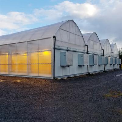 China Multi Span Automated Blackout Greenhouse Width 30ft For Plant Growth for sale