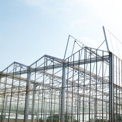 China Galvanized Steel Frame Multi Span Venlo Glass Greenhouse Large Automatic for sale