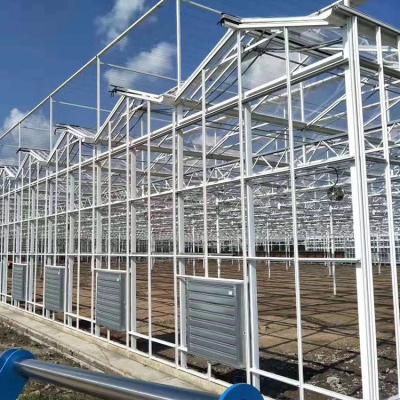 China High Venlo Type Greenhouse Strong Commercial Multi Span Glass Covered for sale