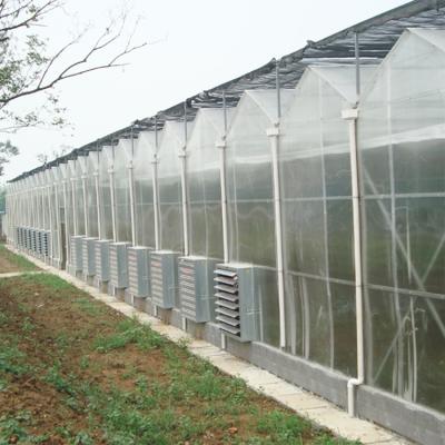 China Multispan Polycarbonate Tunnel Greenhouse For Vegetables Growing for sale