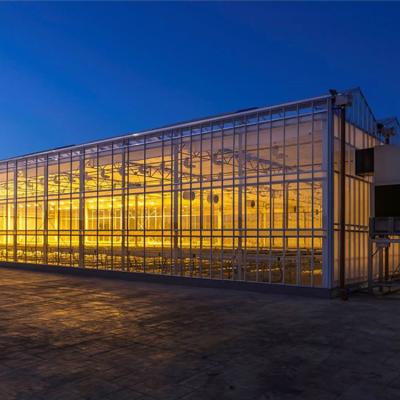 China Cold Frame High Tunnel Venlo Glass Greenhouse With Hydroponic Growing System for sale