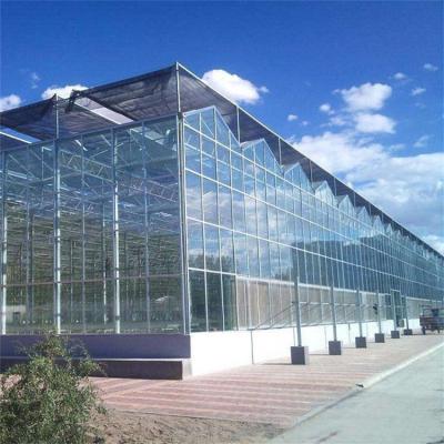 China Glass Multi Span Greenhouse Tropical Solar Hydroponic Flower Vegetable Growing for sale