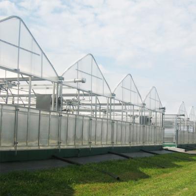 China Industrial Polycarbonate Sheet Greenhouse Multi Span 8mm PC Panels For Flower for sale