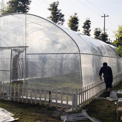 China Single Span Poly Film Tunnel Arch Plastic Film Greenhouse Strawberry Fruits Planting for sale