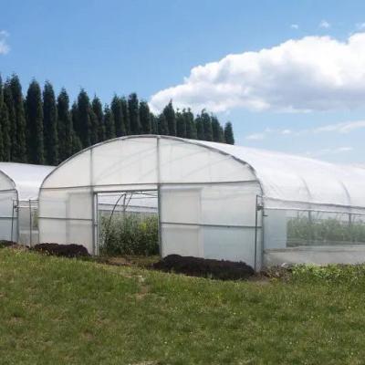 China Tropical Single Span Metal Frame Greenhouse Plastic Shed High Tunnel Transparent for sale
