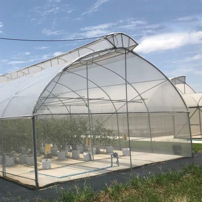 China Thailand Multi Span Automatic Vent Greenhouse Electric Tropical Climate Controlled for sale