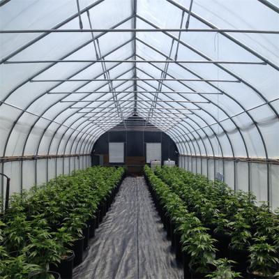 China Tunnel Film Automatic Blackout Greenhouse Hydroponic American Agriculture Light Dep for sale