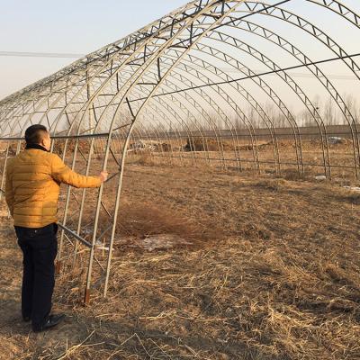 China Double Arches Double Film Agricultural Growing 10X50m Single Span Greenhouse for sale