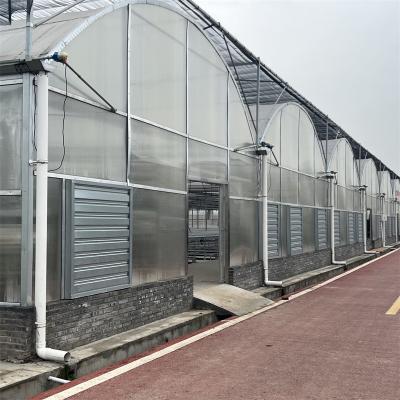 China Strong Structure Heavy Duty Plastic Greenhouse / Plastic Tomato Greenhouse for sale