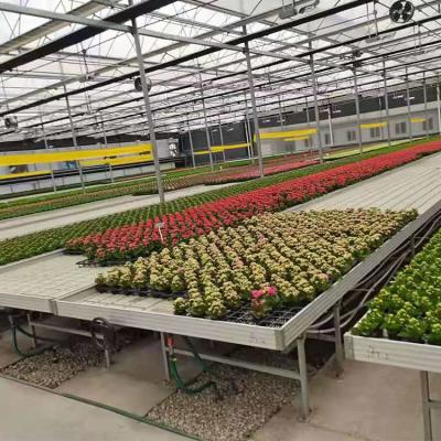 China Vegetables Ebb And Flow Tray Seeding Bed Greenhouse Rolling Benches for sale