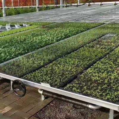 China Silver Custom Greenhouse Benches Movable Seedling Bed Rolling Breeding for sale
