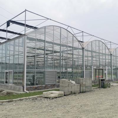 China Hydroponics Tomato Cucumber Flower Film Arch Automatic Multispan Glass Greenhouse for sale
