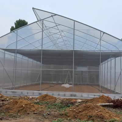 China OEM Hydroponic Tunnel Plastic Greenhouse Galvanizing Steel Farm Supply Greenhouse à venda