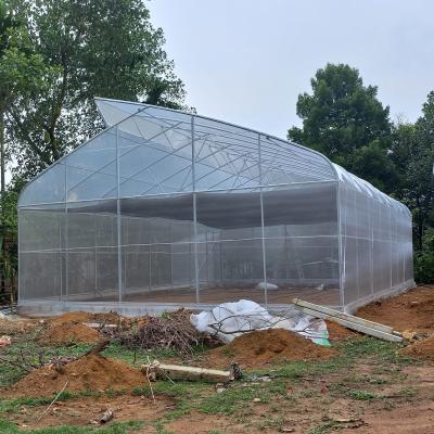 China 150 200 Micron Commercial Sustainable Greenhouse Farming Modern With 1*2m Door for sale
