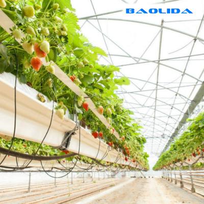 Chine Clear Hydroponic Agricultural Multi Span Greenhouse 8m Span à vendre