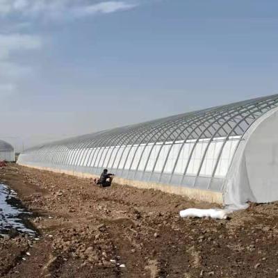 China Automatic Plastic Film Solar Passive Greenhouse Support Rainwater Collection for sale