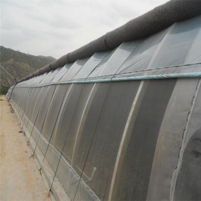 China Automatic High Insulated Agricultural Greenhouse With Customized Temperature Control for sale