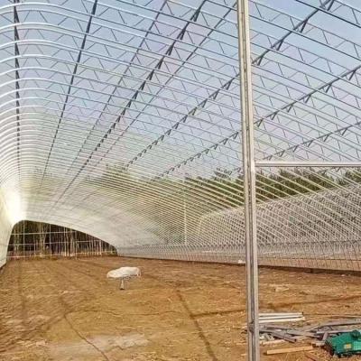 中国 Customized Temperature Control Polytunnel Greenhouses With Solar Energy Cooling System 販売のため