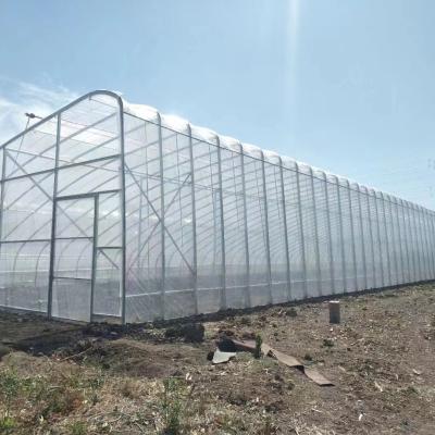 China Plastic Film Solar Passive Greenhouse With Rainwater Collection Support à venda