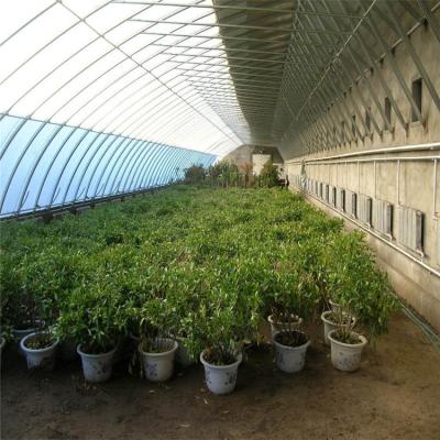 China High Insulation Garden Greenhouse With Customized Temperature Control And Size à venda